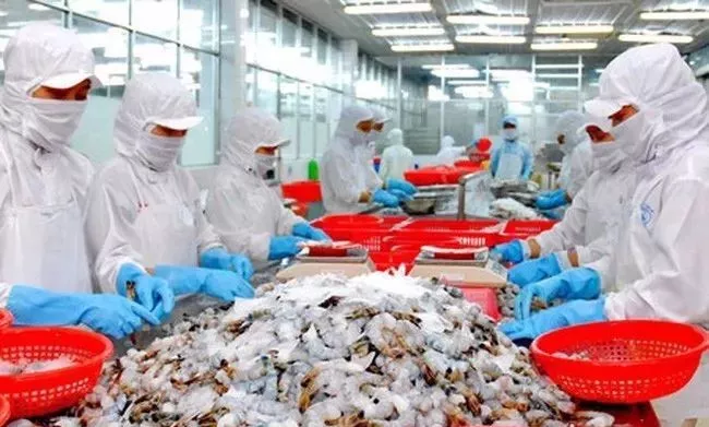 超越美國，2017年中國成越南巴沙魚和蝦類最大出口市場