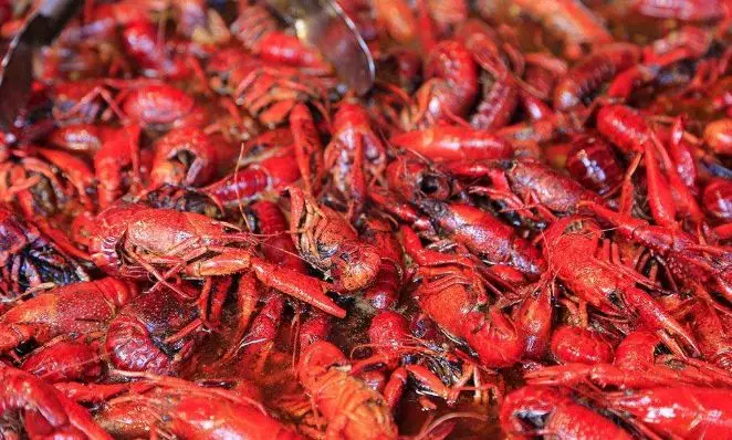 小龍蝦大戰(zhàn)開幕，看看京東、天貓、國聯(lián)、信良記、安井都是如何搶蝦的？