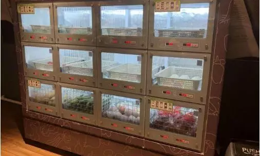 超市發(fā)加速探索無(wú)人零售四道口店上線智能菜柜