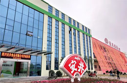 安井只是賣丸子的？不，它已成速凍品類“三劍客