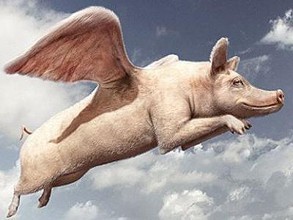 最大養(yǎng)豬戶巨虧4.6億元！風(fēng)口上的“二師兄”為啥沒飛？