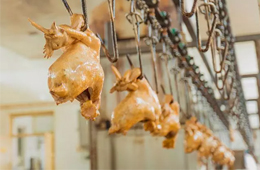 漂泊38年后花800萬(wàn)“贖回”，道口燒雞老字號(hào)“義興張”商標(biāo)完璧歸趙