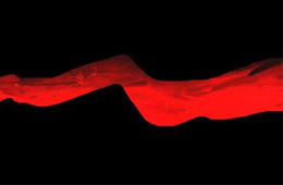 行業(yè)丨速凍食品新國(guó)家標(biāo)準(zhǔn)正式實(shí)施，這些“紅線”要注意了！