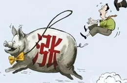 豬肉供應(yīng)量斷崖式下跌，肉價(jià)將開啟全面大漲