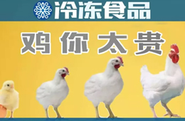 量價齊升，養(yǎng)白羽肉雞咋還虧了？