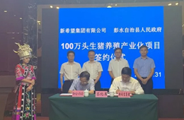 新希望六和落子渝豫甘，生豬規(guī)模再增200萬頭！