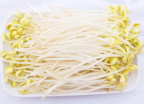 視頻 | 只知道大張超市厲害，沒想到它的豆芽工廠也這么牛