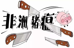 官宣 | 農(nóng)業(yè)農(nóng)村部：28省非瘟疫區(qū)解除封鎖，“豬荒”年底前有望緩解