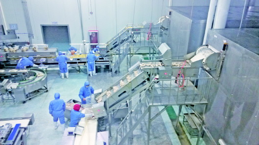  蚊蟲(chóng)、毛發(fā)、焊渣……食品車(chē)間異物如何“一掃光”