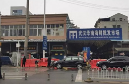 武漢華南海鮮市場元旦起休市，恢復(fù)營業(yè)時間未定