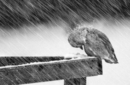 熱點(diǎn) | 海欣營銷總監(jiān)給經(jīng)銷商的自救指南：立即行動，應(yīng)對變化！