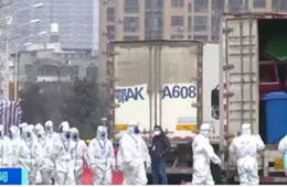 武漢華南海鮮市場(chǎng)完成大規(guī)模消殺；牛蛙、烏龜不列入禁食范圍