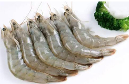 人力缺失、資金鏈斷裂！厄瓜多爾白蝦產能降至三分之一！多家企業(yè)面臨破產風險！