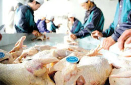 關(guān)注丨活禽交易，放開(kāi)還是禁止？問(wèn)題難在哪里？