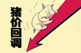  農業(yè)農村部：豬肉價格連8周回落，高峰或在9月前后出現(xiàn)