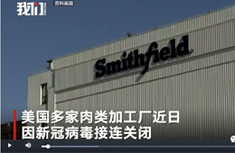 史密斯菲爾德、泰森等國外肉類巨頭停工，或引發(fā)全球“肉慌”？