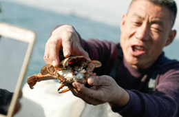 一季度電商直播超400萬場！直播帶貨到底有多火？為何海鮮永遠是爆品？