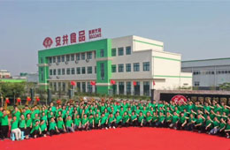 華南基地簽約，河南工廠揭牌，安井 “銷地產(chǎn)”布局又有新動(dòng)作