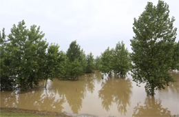 火速馳援！三全、白象、好想你奔赴抗洪一線捐贈(zèng)美食