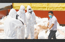 水產(chǎn)、禽肉、豬肉、牛肉…多種進口凍品連續(xù)檢出新冠陽性，冷鏈追溯構(gòu)筑防控“安全鏈”