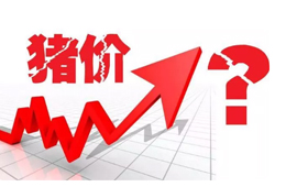 豬價(jià)又“變臉”，新一波漲勢(shì)來(lái)了？農(nóng)業(yè)農(nóng)村部：或持續(xù)到元旦春節(jié)