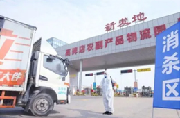 北京新發(fā)地暫停凍品等銷售和儲(chǔ)存；天津海聯(lián)冷庫(kù)感染源為北美豬頭