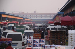 追蹤 | 冷庫停業(yè)，旺季將至，急壞凍品人！怎么辦？