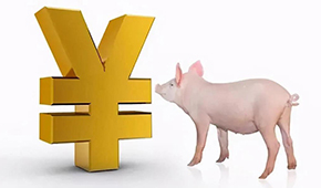 誰(shuí)是國(guó)內(nèi)養(yǎng)豬第一大?。?/>
                </div>
                <div   id=