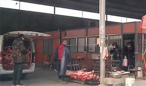 又見(jiàn)瘦肉精，河北青縣問(wèn)題羊肉流向河南等地！當(dāng)?shù)卣o急回應(yīng)