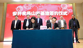 安井新動作：國內(nèi)密集布局產(chǎn)能，海外收購英國公司開啟國際