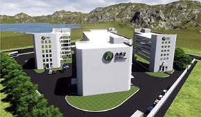 植物肉風(fēng)口下的“黑馬”，三全、思念都選它