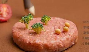 對話拉絲蛋白巨頭：植物肉是一場飲食革命，大眾消費是方向