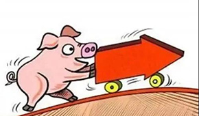 豬價翻紅“6連漲”，沖上10元大關(guān)；凍品人發(fā)朋友圈：時間不等人，快抓緊備貨！