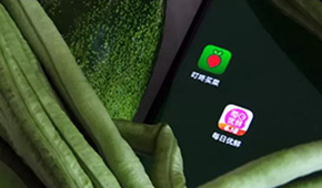 叮咚買菜、每日優(yōu)鮮接連上市，是否持續(xù)利好預(yù)制菜成為“家常菜”？