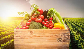 麥金地：從餐配轉(zhuǎn)型食品加工，“三級廚房”打造全國供應(yīng)鏈集群