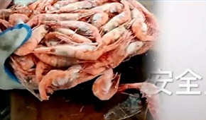 生產(chǎn)日期隨意改、過(guò)期蝦換包裝秒變合格品……味庫(kù)海鮮攤上事了，曾獲6輪融資