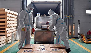 全國28個(gè)省份已建成869個(gè)集中監(jiān)管倉，進(jìn)口冷鏈“國家平臺”將升級2.0版