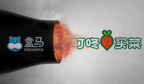 盒馬“炮轟”叮咚買菜，生意不好做大家都暴躁了？