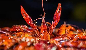 安井再次出手布局，小龍蝦已妥妥成為預(yù)制菜行業(yè)大單品