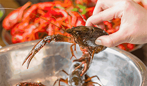 疫情之下，餐飲圈為啥都賣起了小龍蝦？