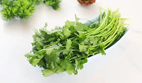 香菜餅、香菜丸、香菜油條、香菜小酥肉…香菜為啥這么“香”？