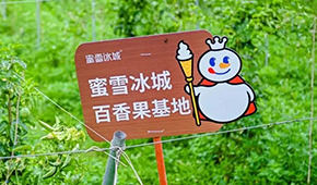 今日上市！覆蓋全球六大洲38個國家，“雪王”的采購網(wǎng)到底有多牛？