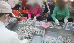 3·15晚會曝光凍蝦仁超量添加保水劑，相關(guān)企業(yè)產(chǎn)品下架