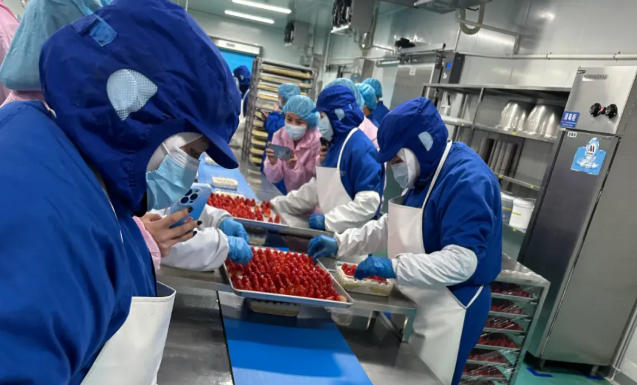 山姆麻薯驚現(xiàn)活老鼠、盒馬草莓蛋糕錯把鹽當(dāng)糖，新零售烘焙的濾鏡碎了？