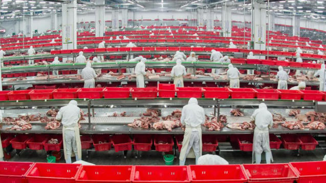 金鑼、郯潤、齊匯、瑞發(fā)德、喜姐炸串……山東臨沂“食力派”全鏈發(fā)力、高質(zhì)躍升